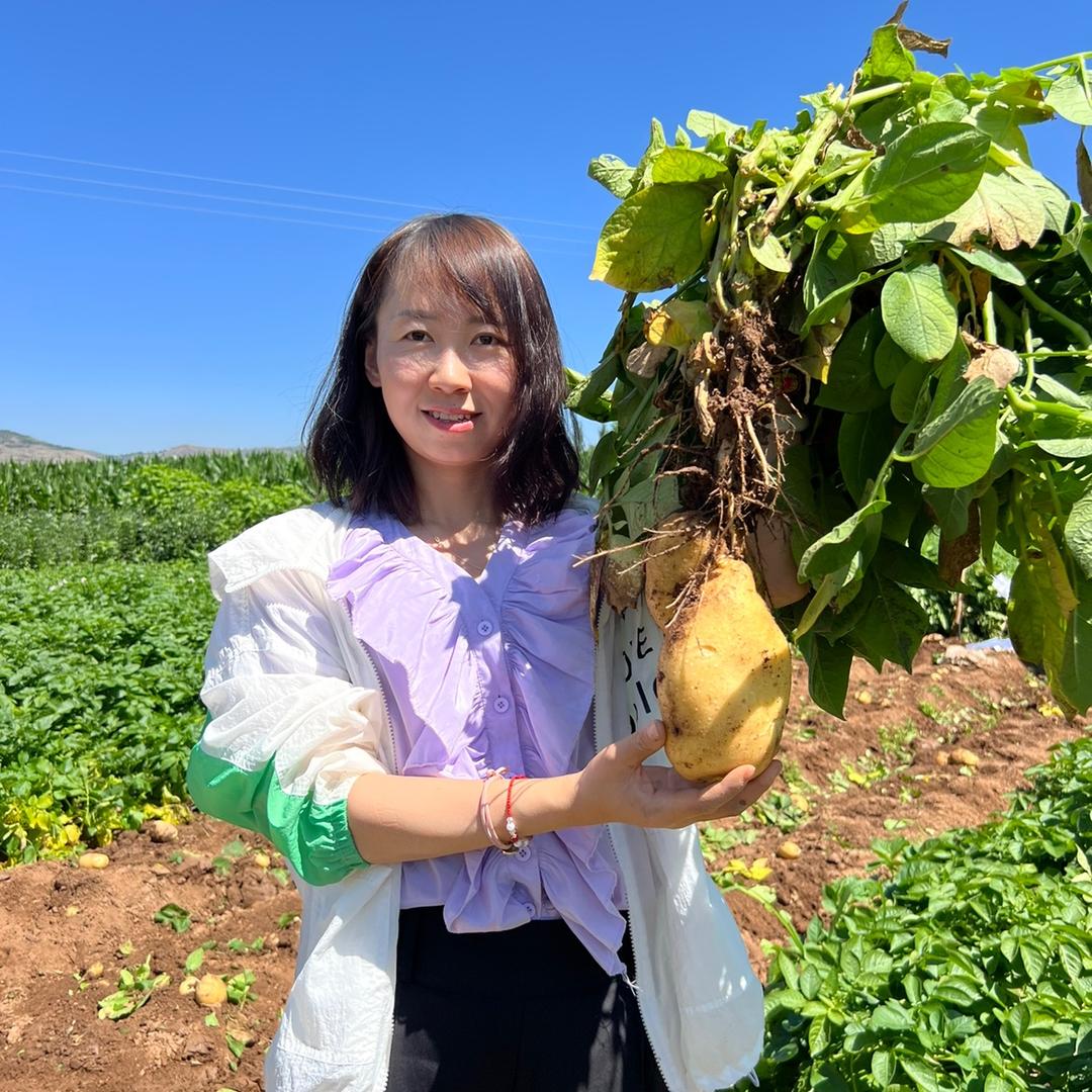 甘肃婵欣儿农特馆