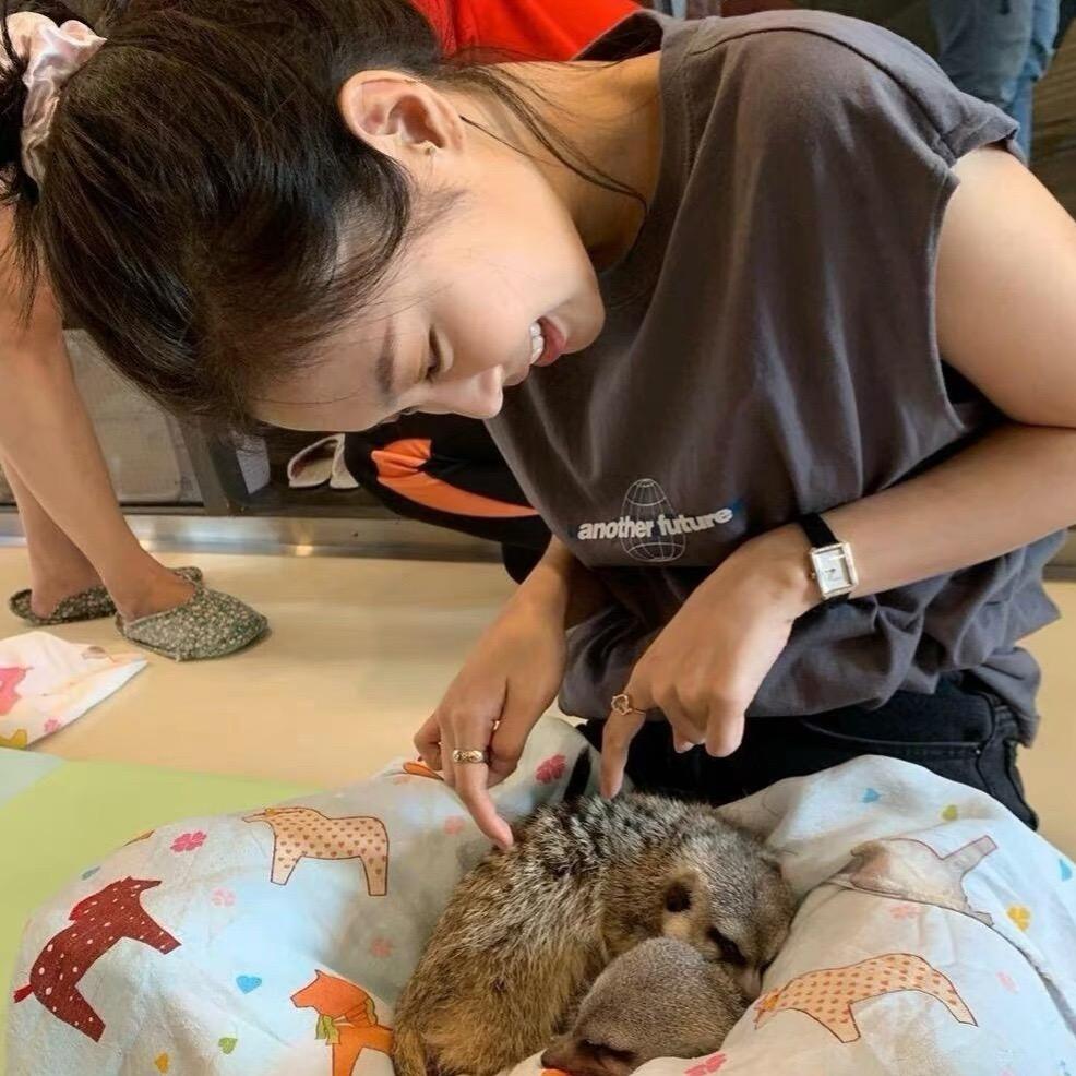 鱼摆摆🐟