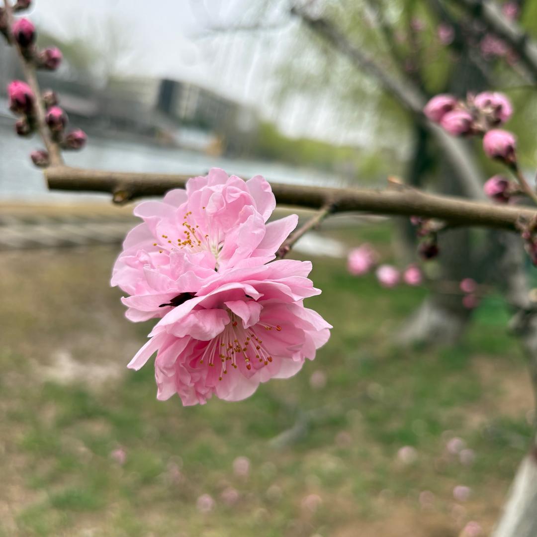 平安喜乐