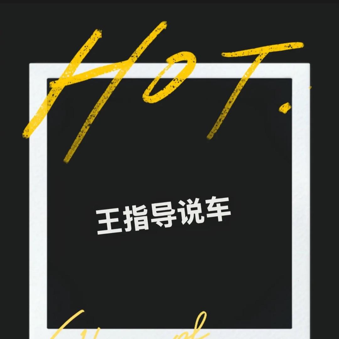 王指导说车