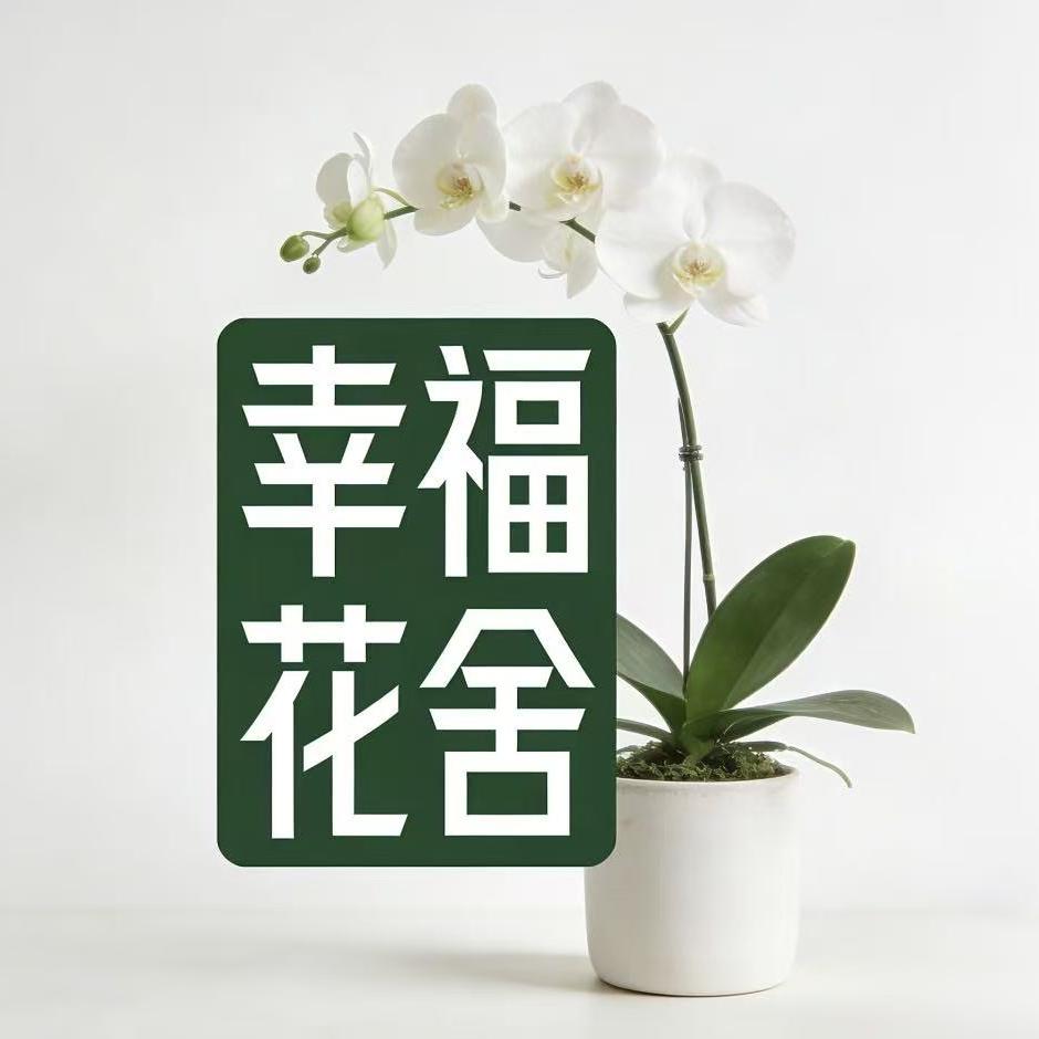 幸福花舍兰花