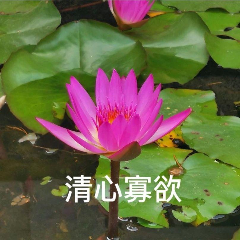 点