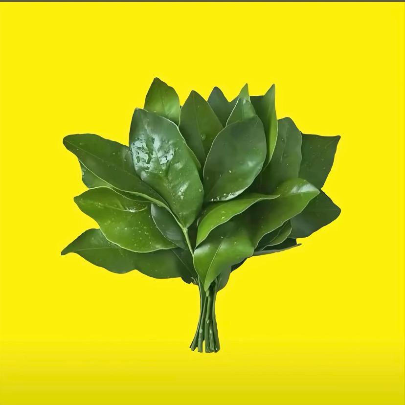 宁