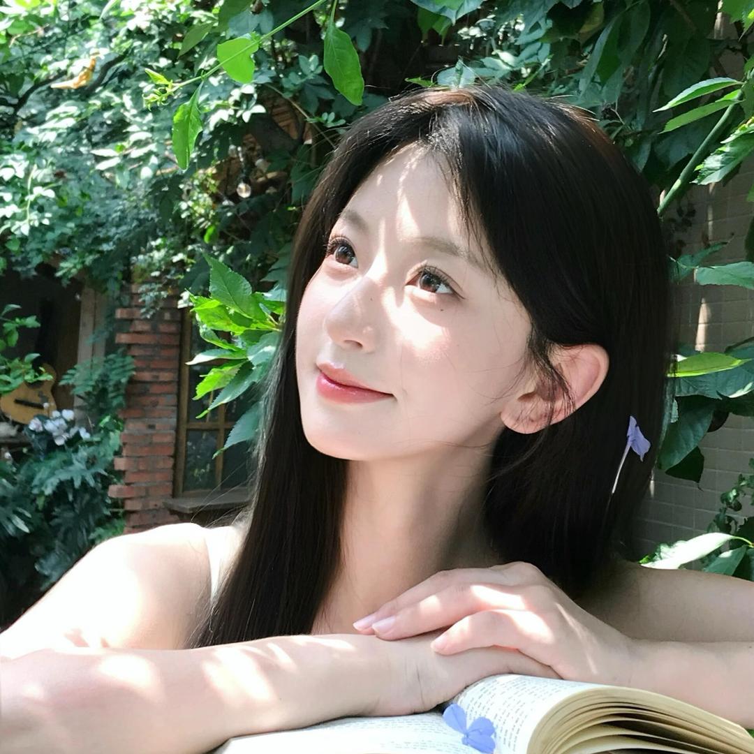 卷心菜菜