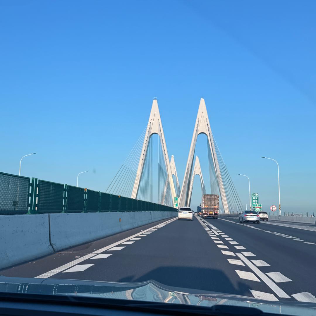 胖胖