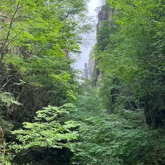 野三坡大萌带你玩