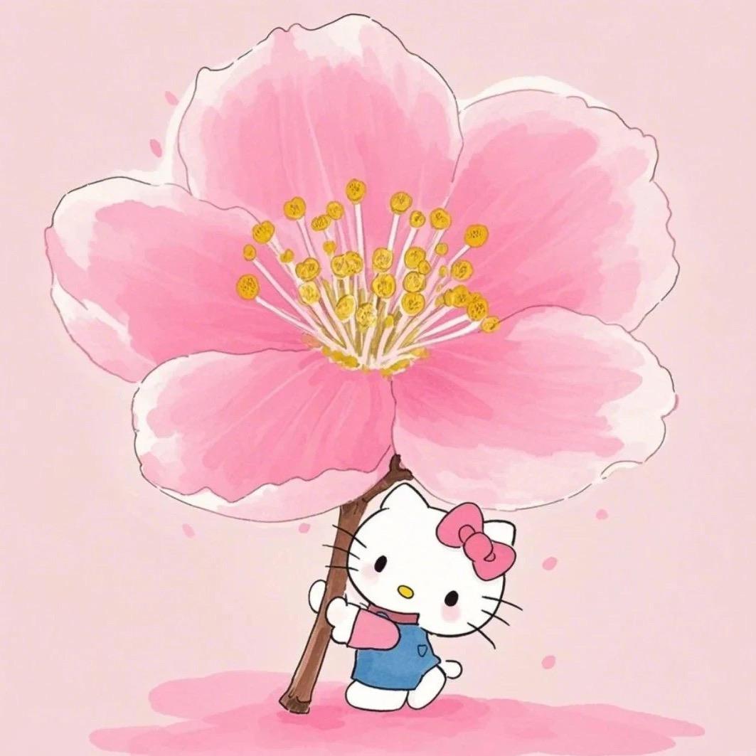 杨小杨^_^