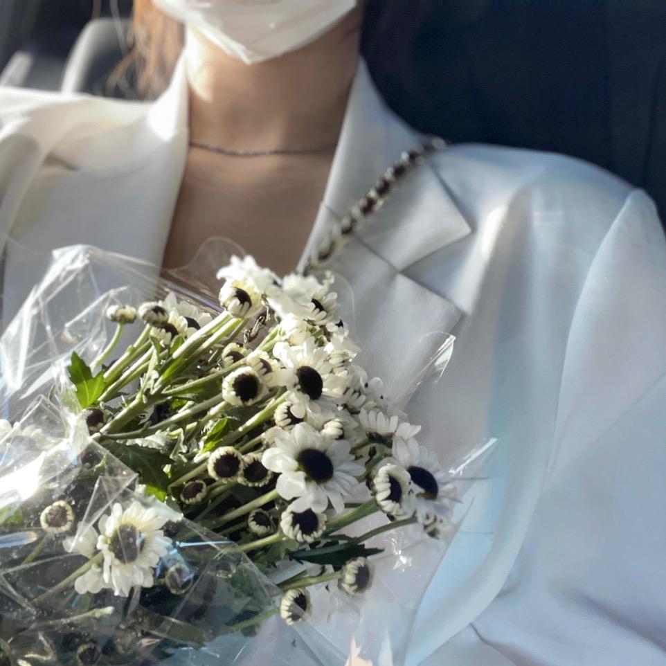 不吃泡芙