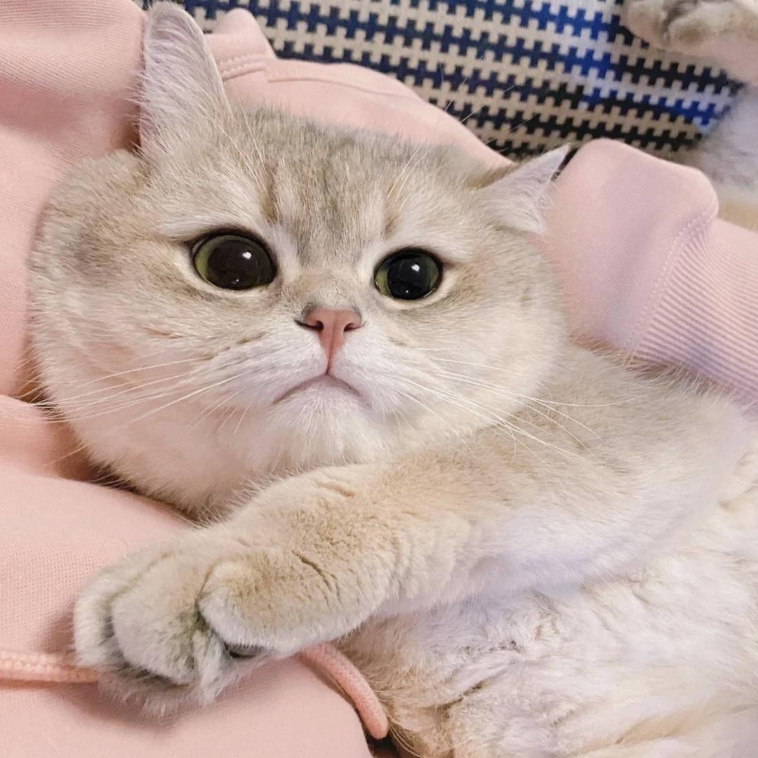 再睡一会