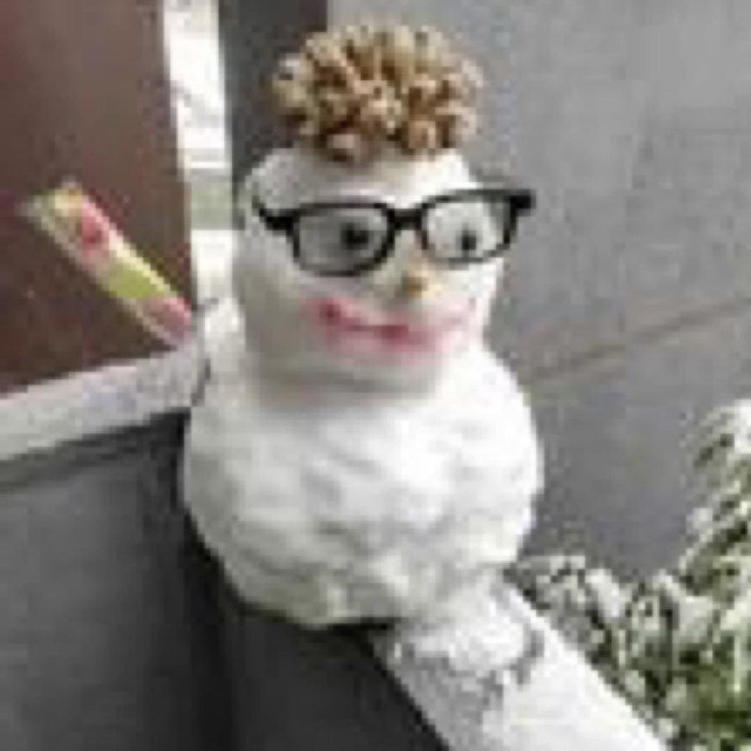 雪门中人