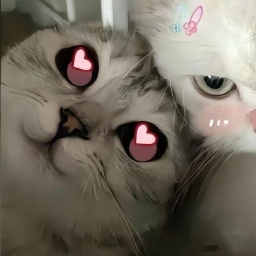 有点迷迷