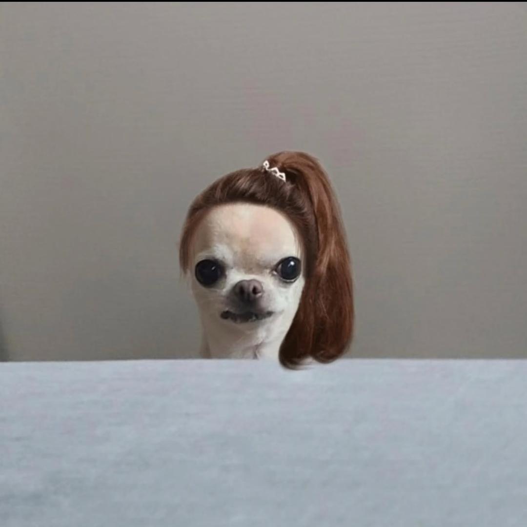 陈可爱