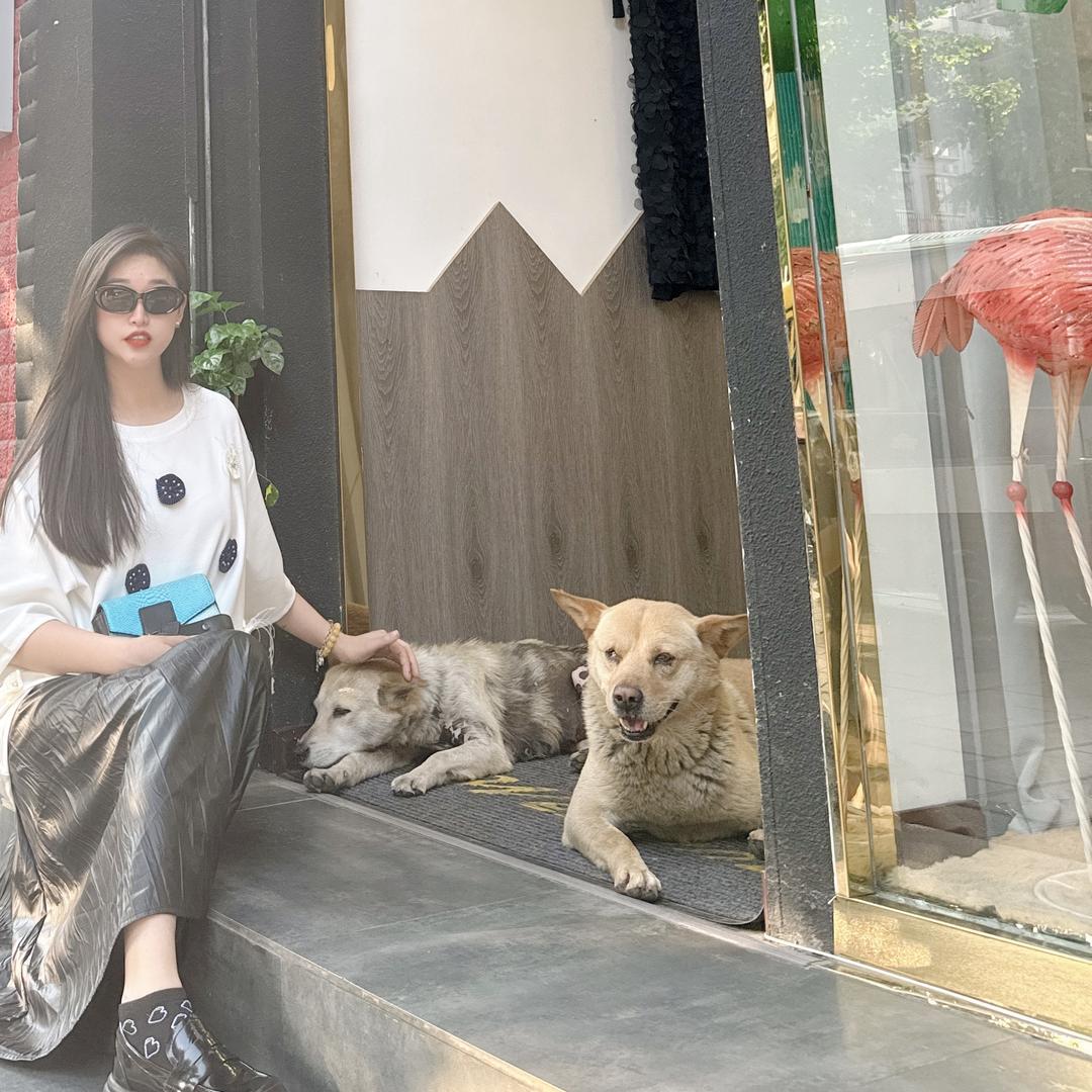 我和流浪狗夫妻的缘份