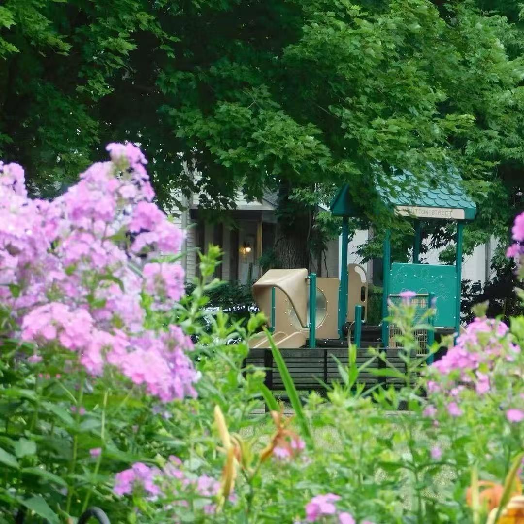 花开满庭j