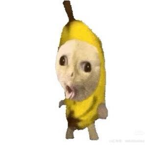 事已至此，先吃饭吧