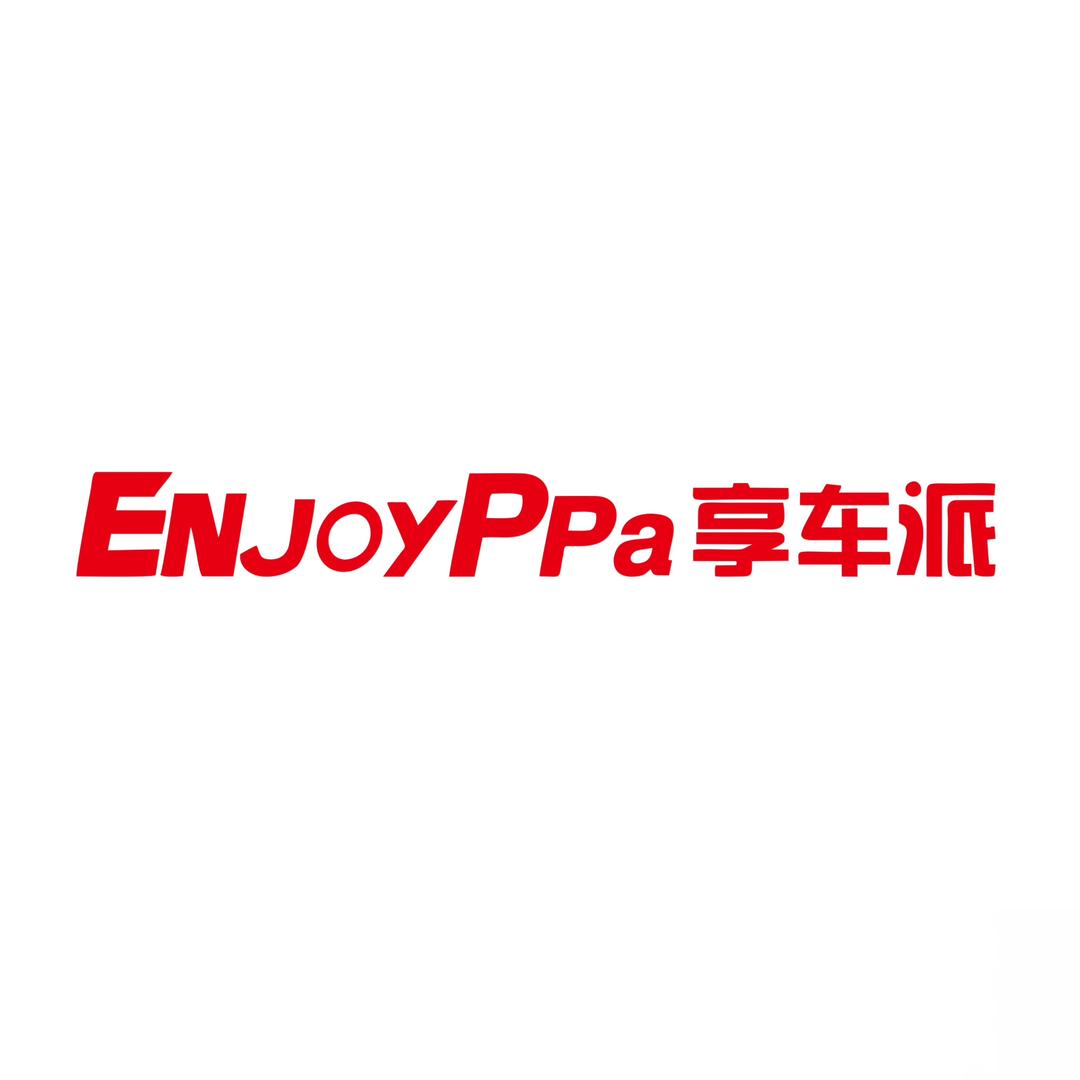 享车派汽车氛围灯-全国包安装