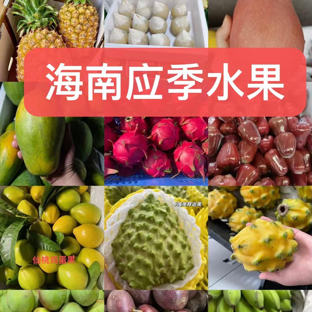 海南果缘天下胖妹水果直发