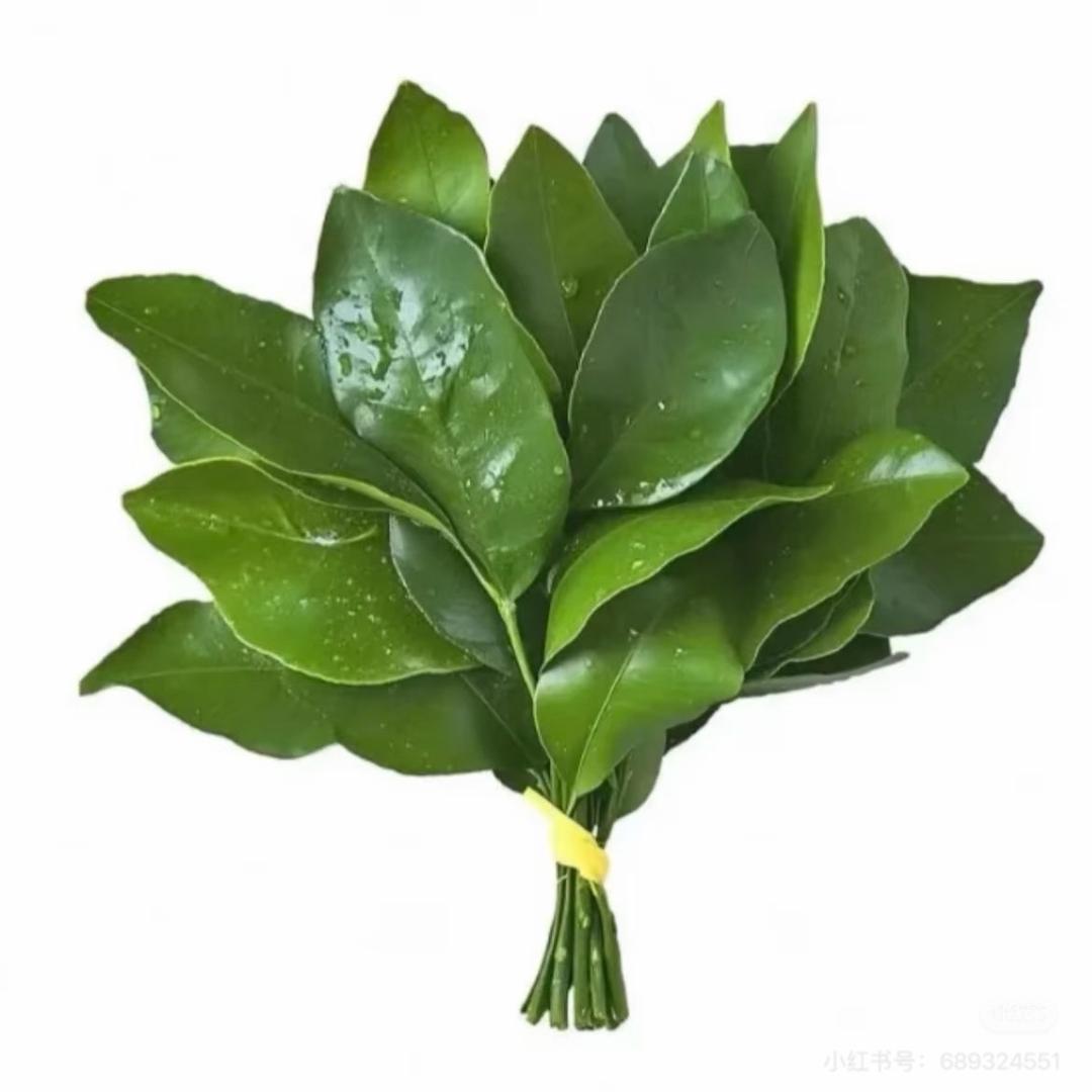 木纸屑