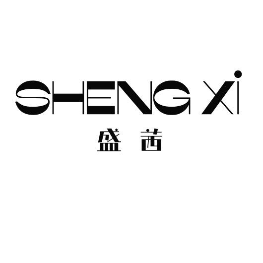 盛茜饰品定制