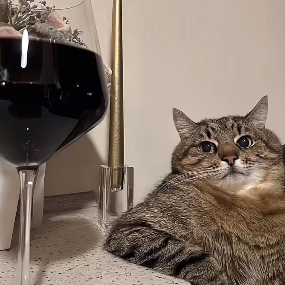 什么时候吃葱油拌面🌈