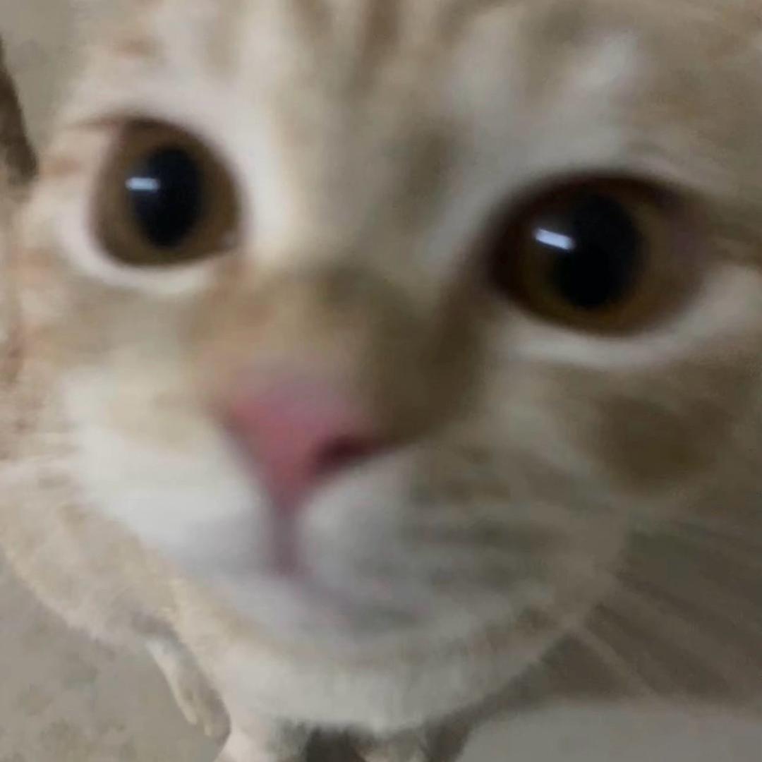明天