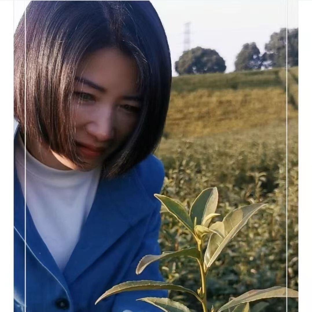 剑灵茶场