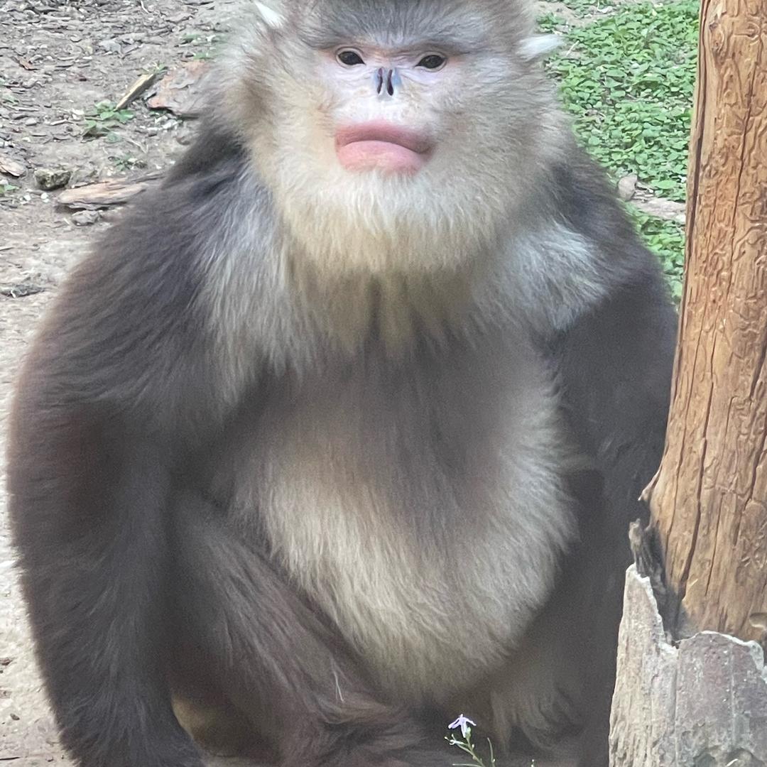 AAA建材批发李总