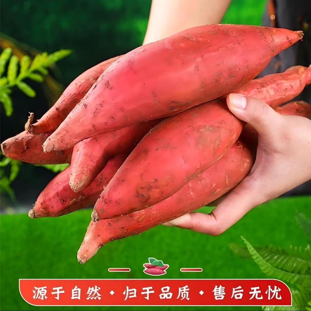 美祺阿妹农产品