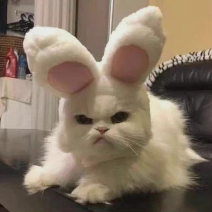土豆泥泥