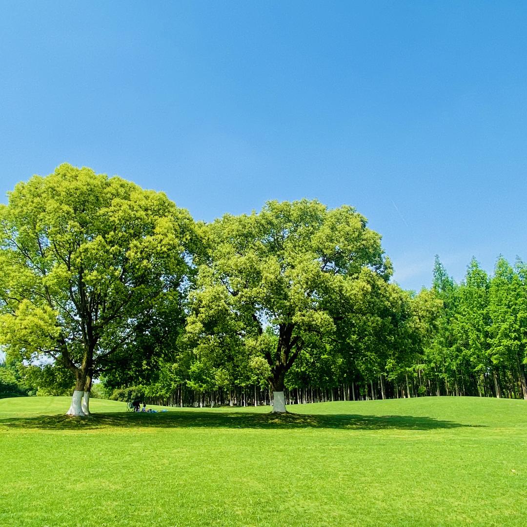 阿坤·玉鸟房产