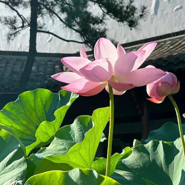 幸福😊