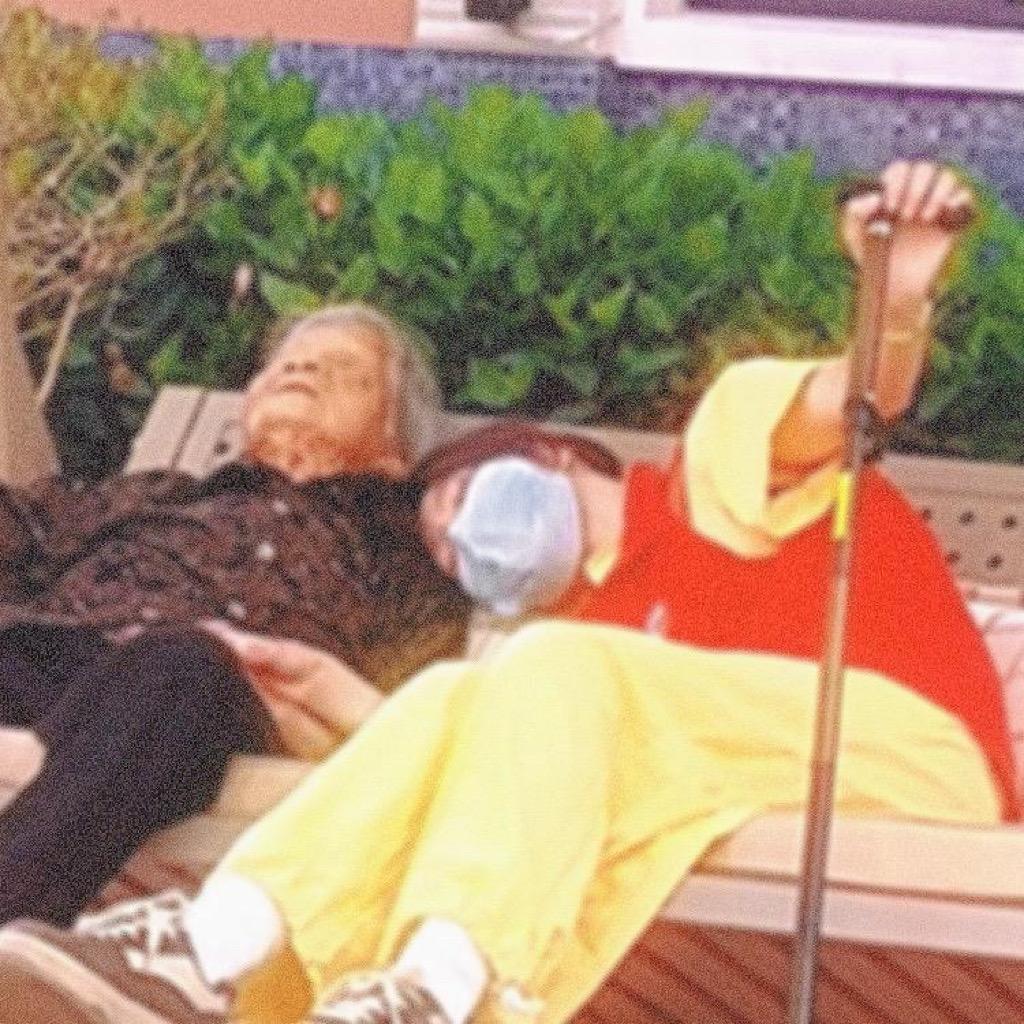 大鹅的记录