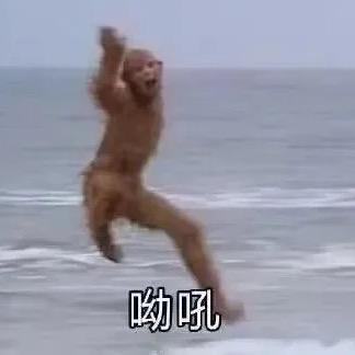 北