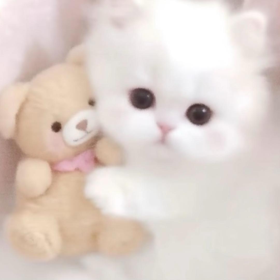Hani.