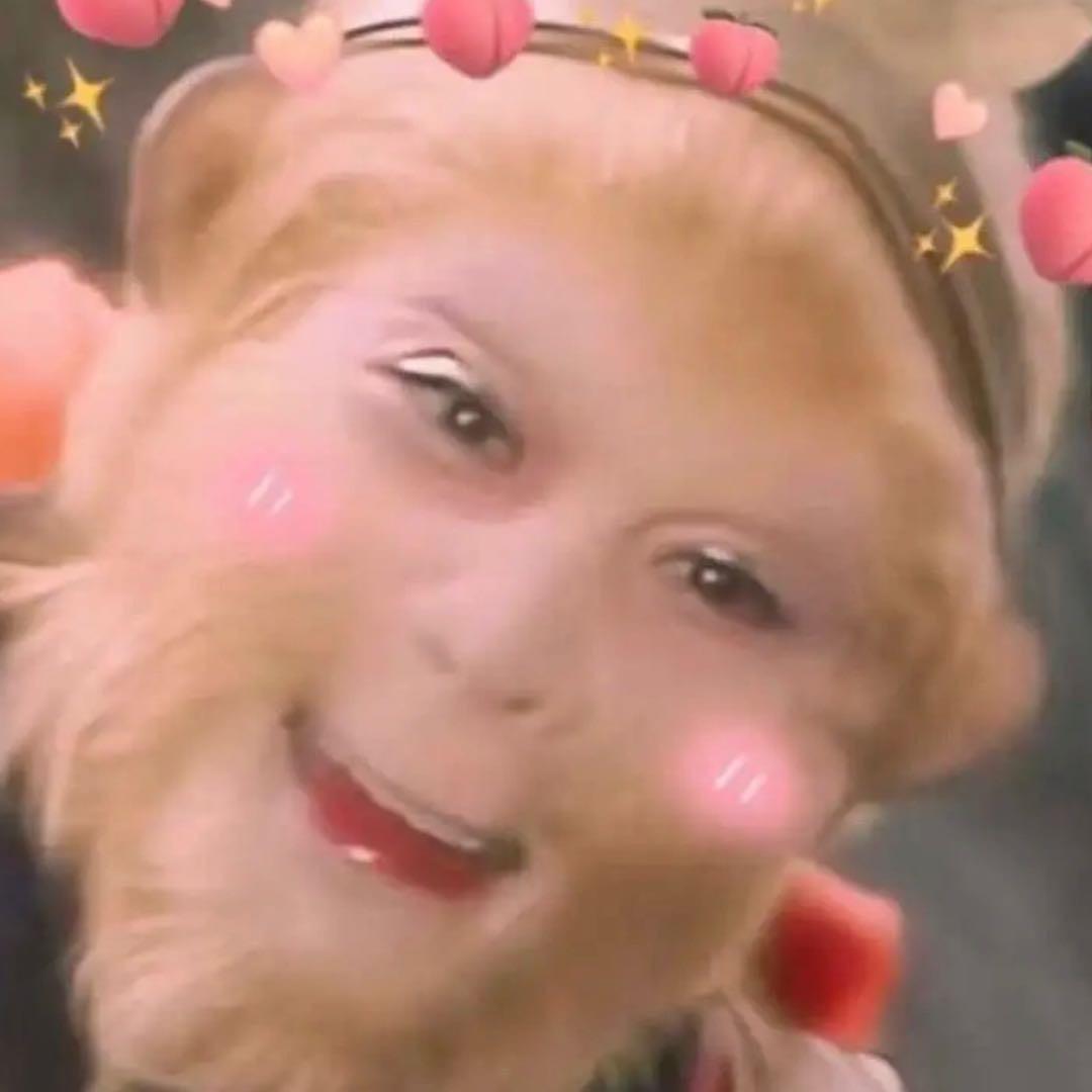 你猴儿