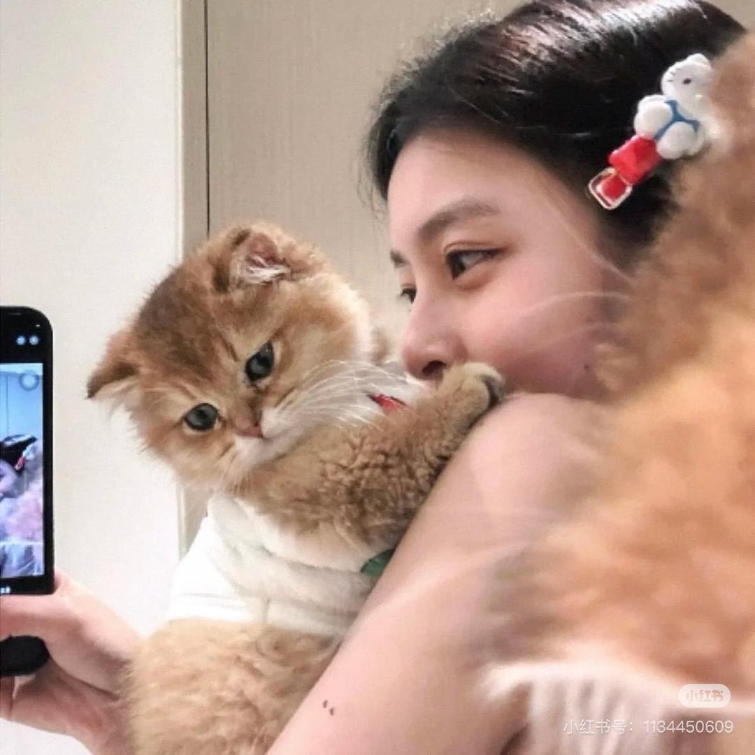 葡萄多肉