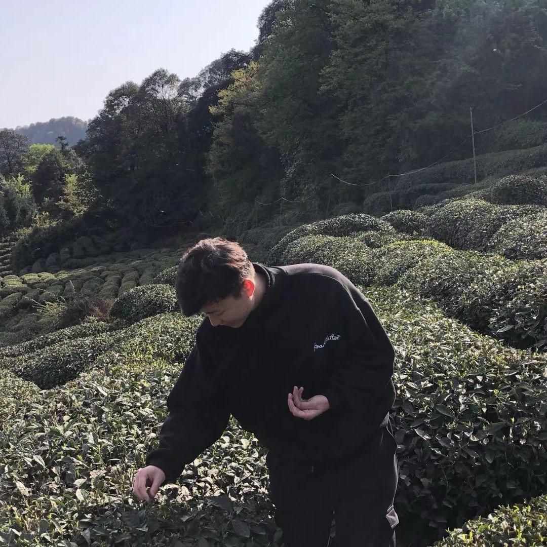 小郑陪你喝茶