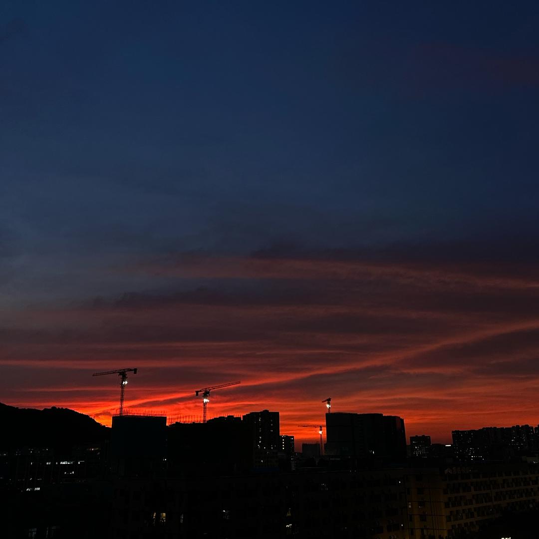 z不晚