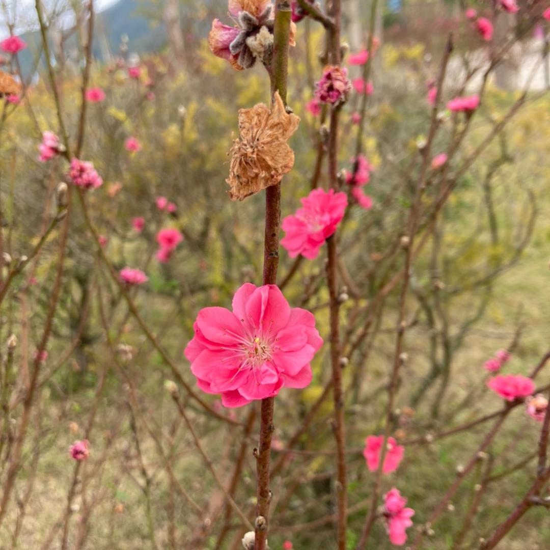 🌈浅笑轻颦🌈