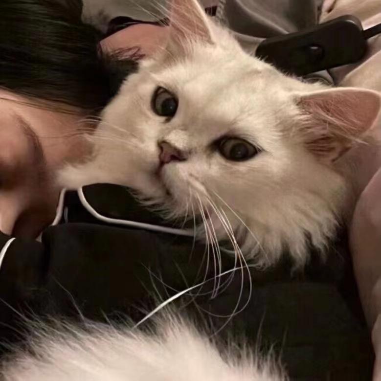 李知恩.