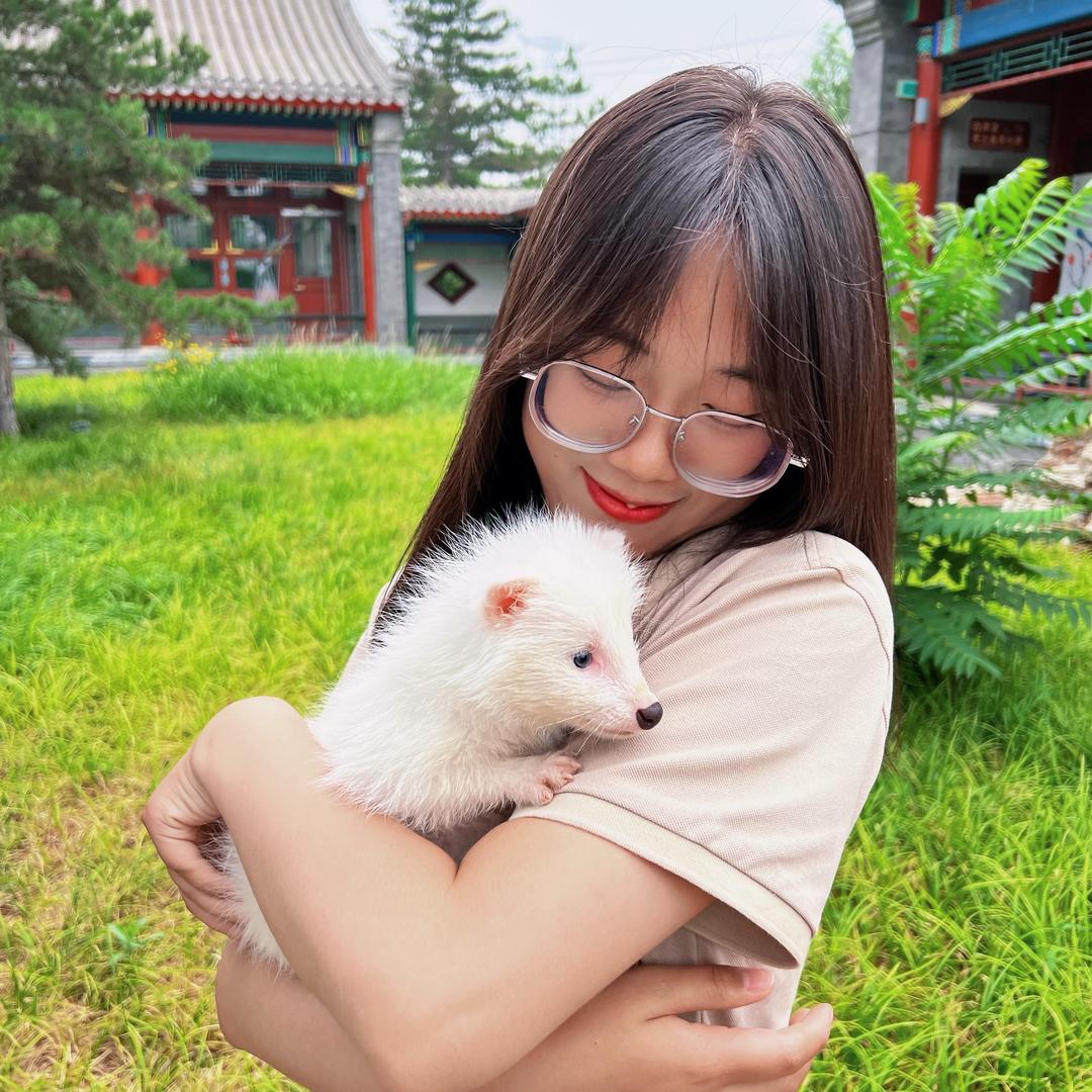 辛玛小艾