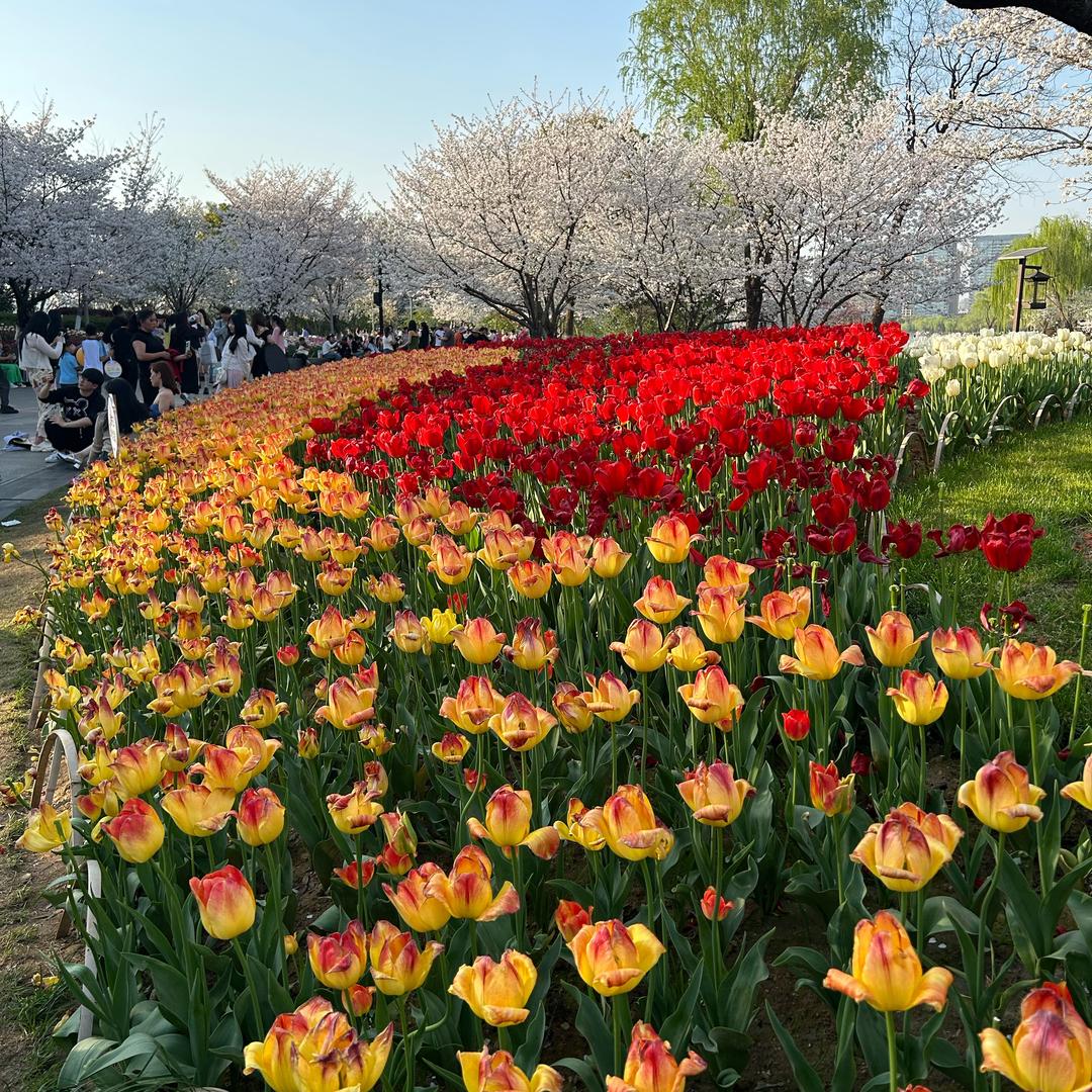 🌺小潘不胖🌺