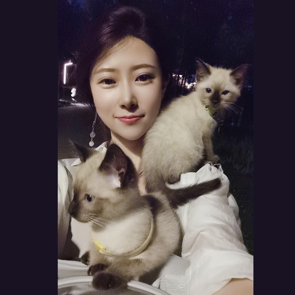 乖淘乖淘的🐱