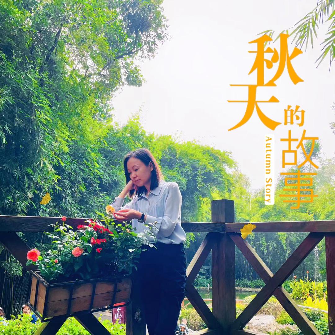 🍃🍵月涧拾茶🍵🍃
