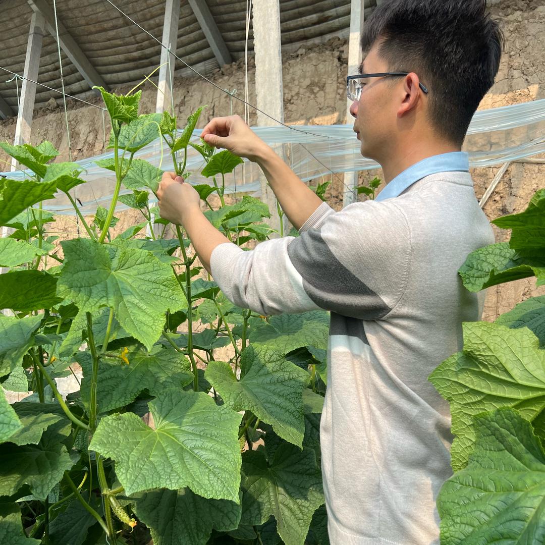 欣明聊植保