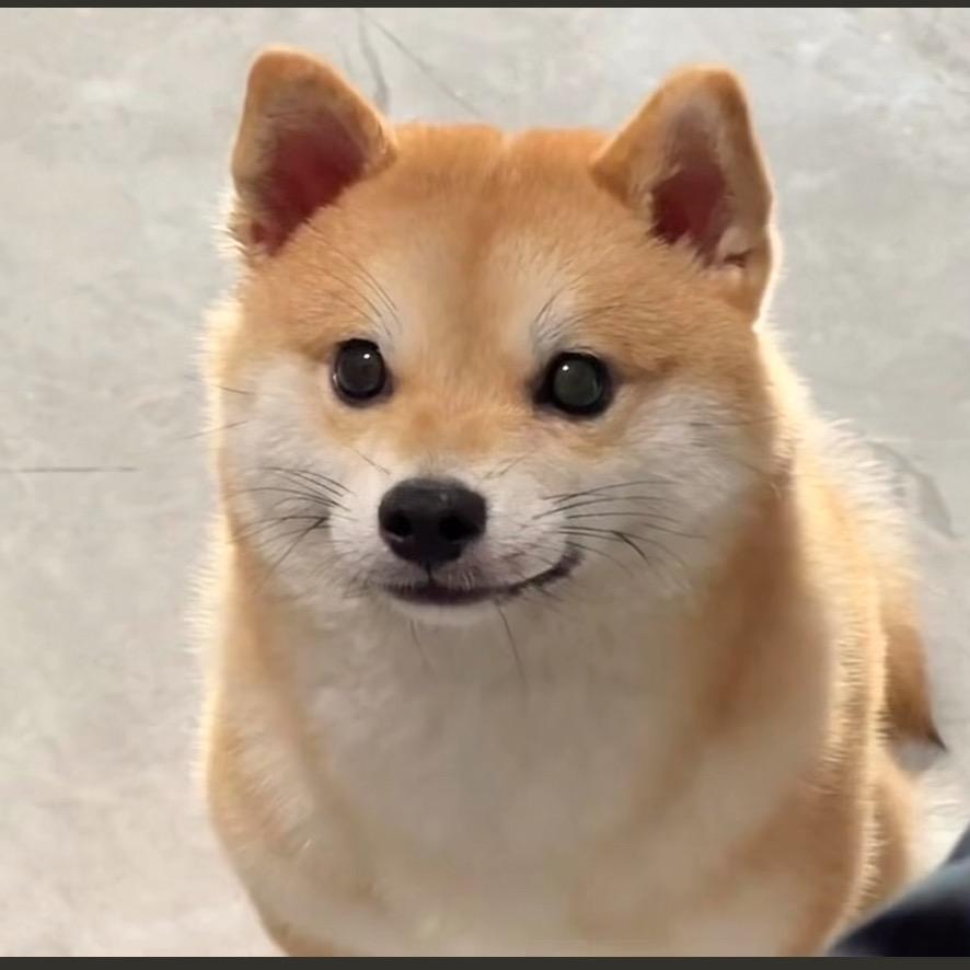 大崎娜娜