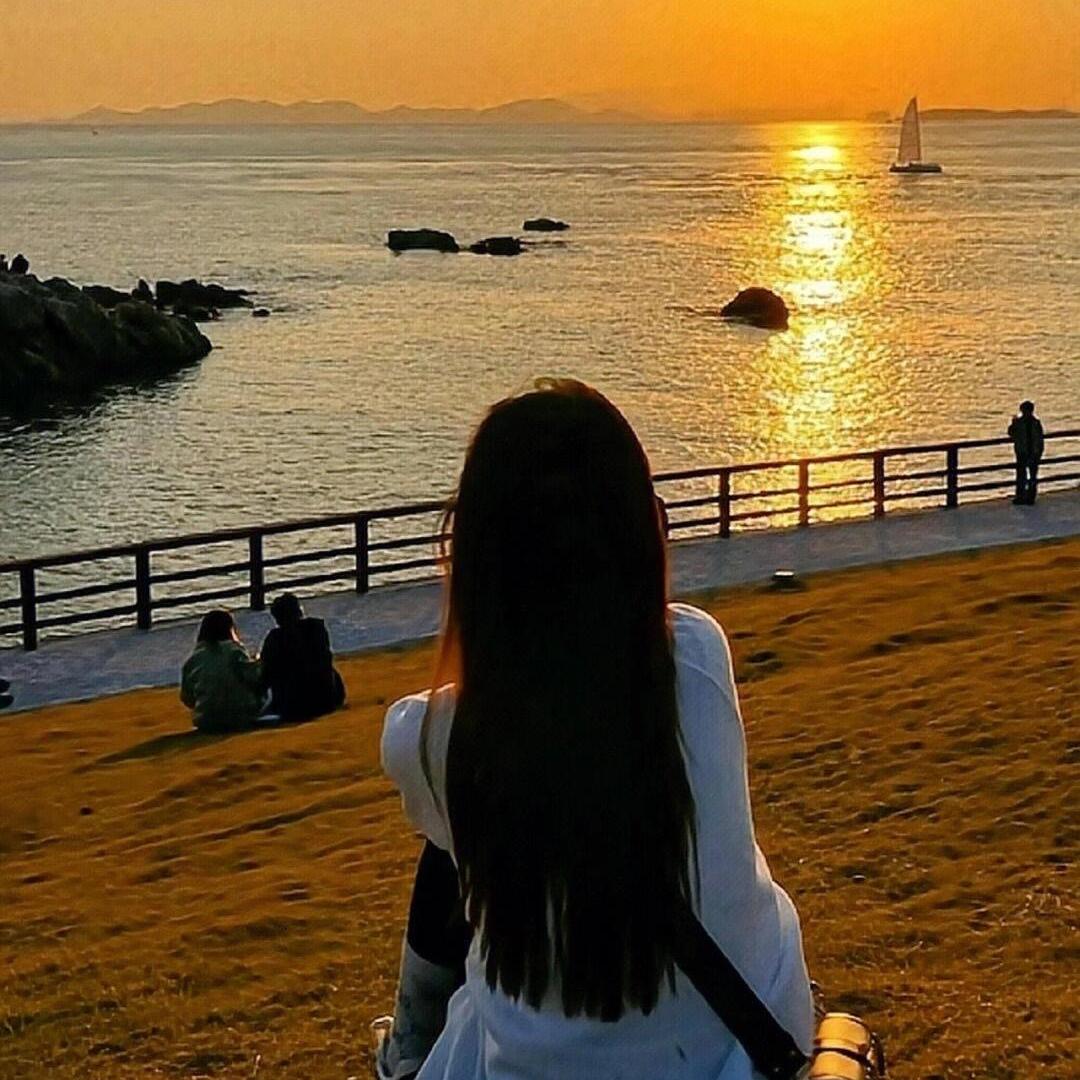 森哥甄选