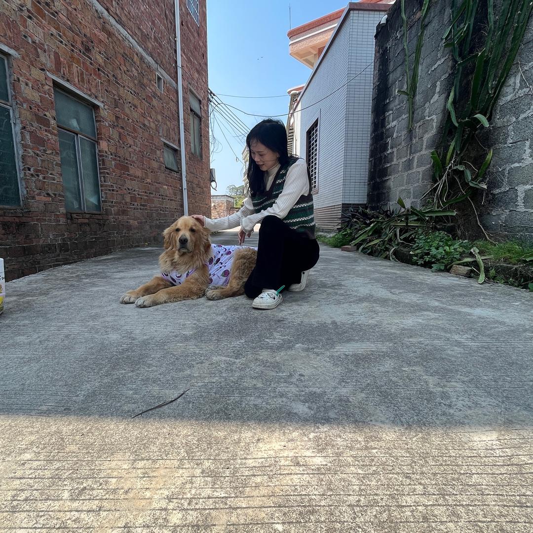 阿紫（美丽 ）