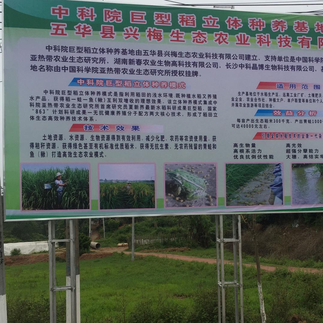 中科晶博刘弋申