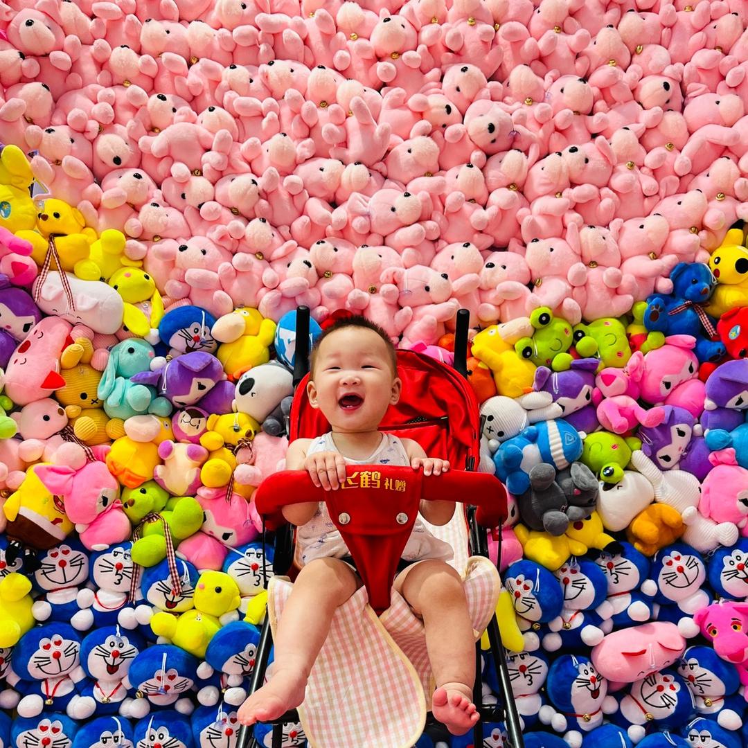 小马小葵